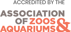 Accredited By The Association of Zoos and Aquariums