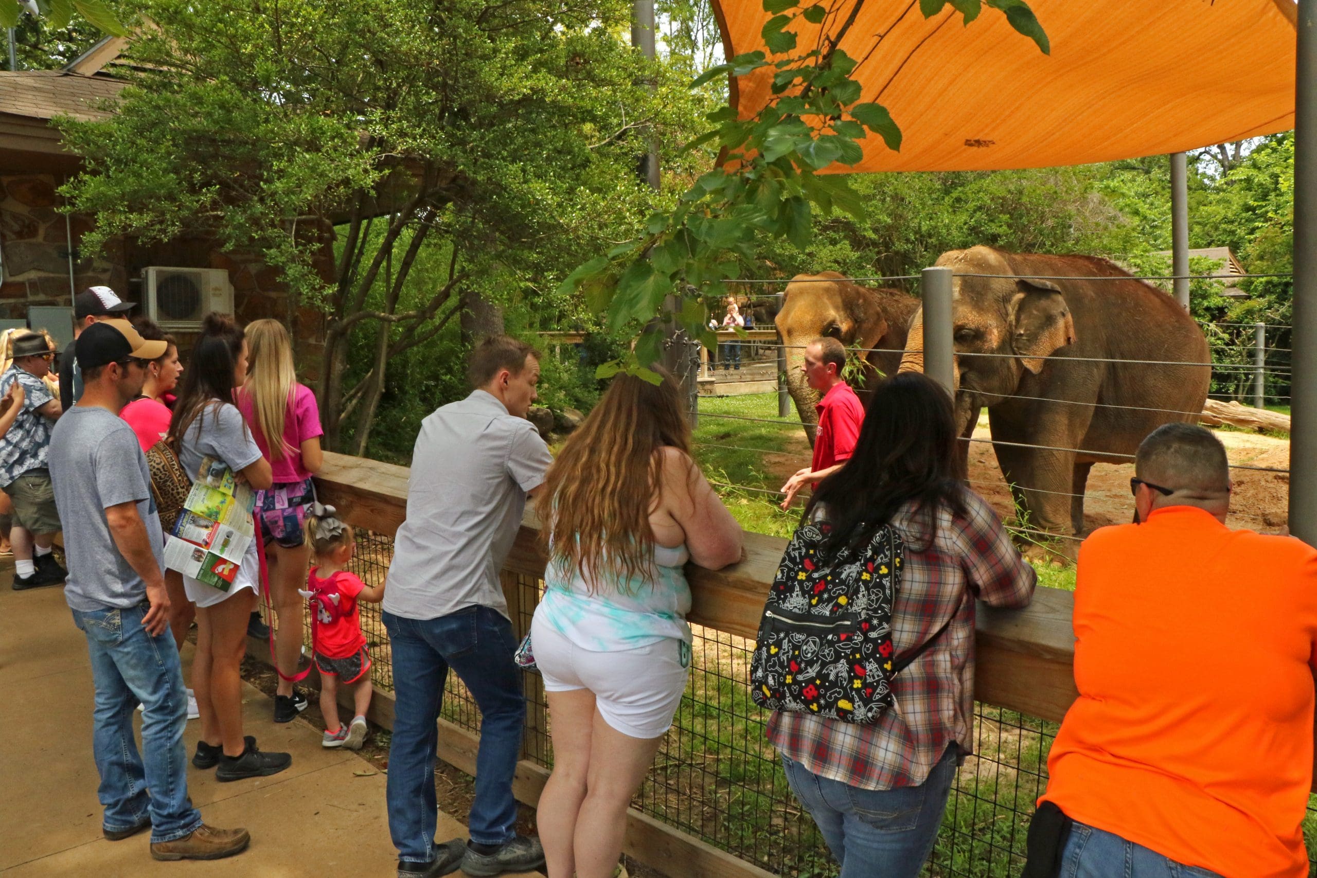 Elephant Keeper Chat