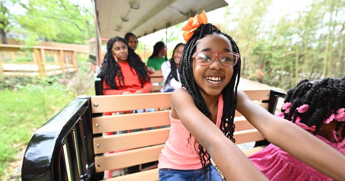 People riding the Train