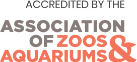 Accredited By The Association of Zoos and Aquariums